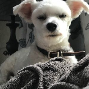 Meet your Posher, Anthony